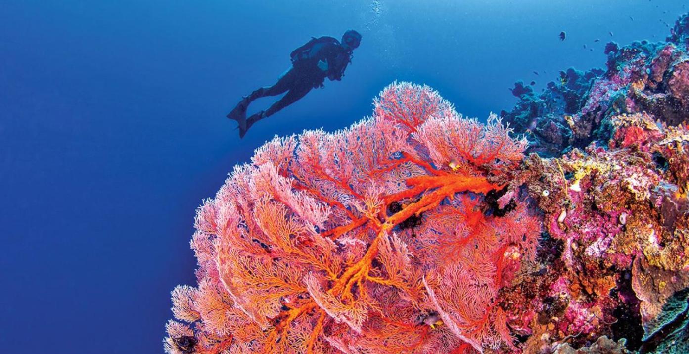 Pristine Paradise Dive Resort - Togean Islands, Una Una Pulau Unauna Luaran gambar